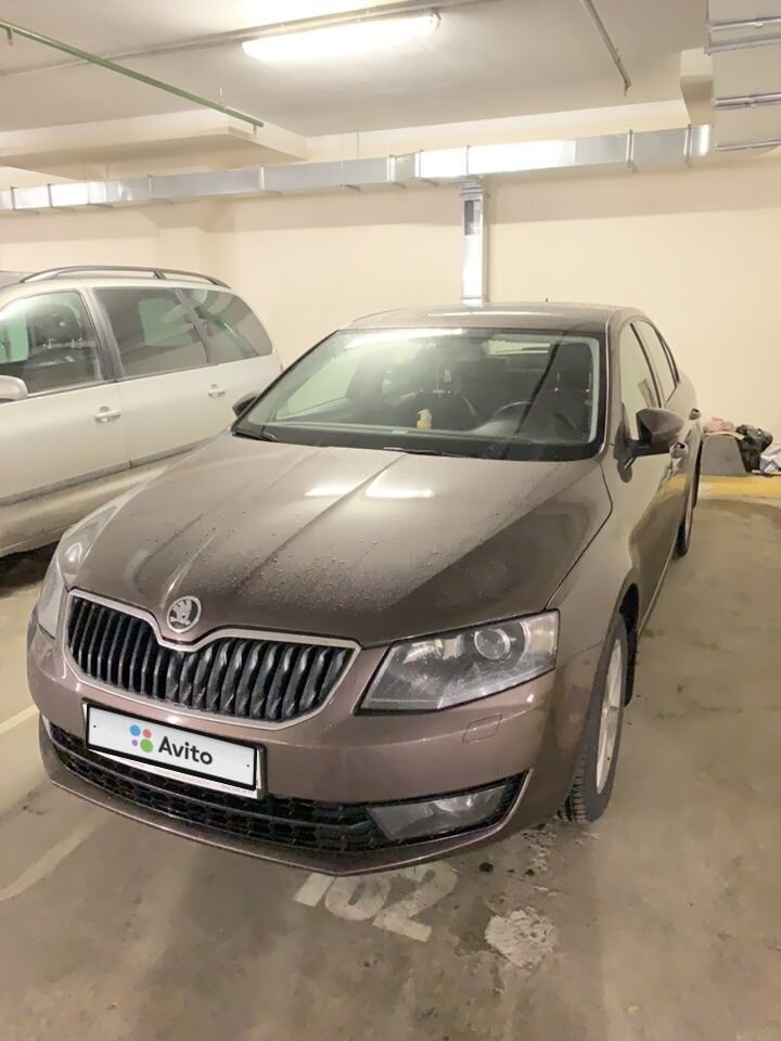 Skoda Octavia: фото владельца
