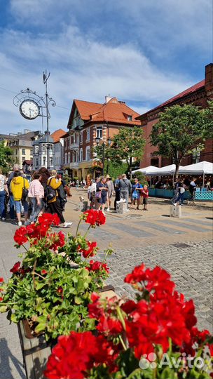 Экскурсовод гид Калининград