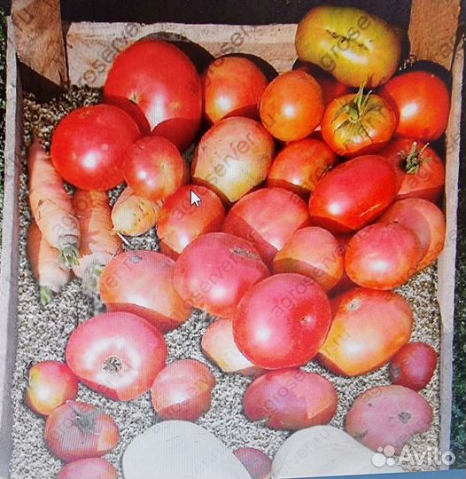 Вермикулит для хранения урожая