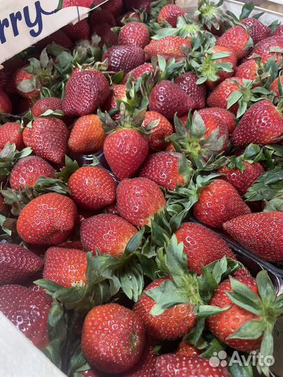 Манго, черешня, клубника свежая сбор на 26.05