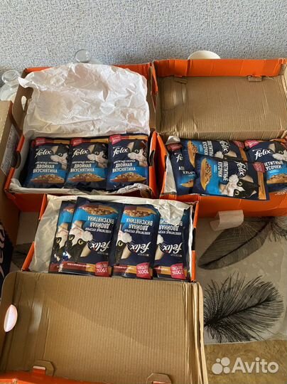 Влажный корм для кошек