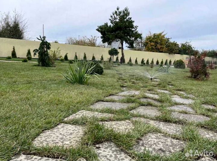 Рулонный газон