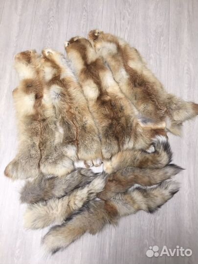 Лисьи шкуры