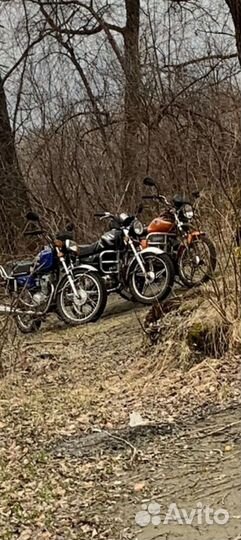 Альфа RC110N с птс
