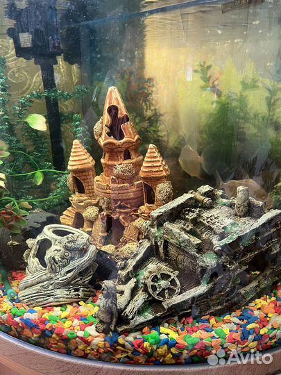 Аквариум панорамный jebo на 169 литров