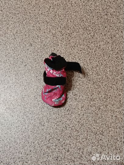 Сапожки-носочки для собаки