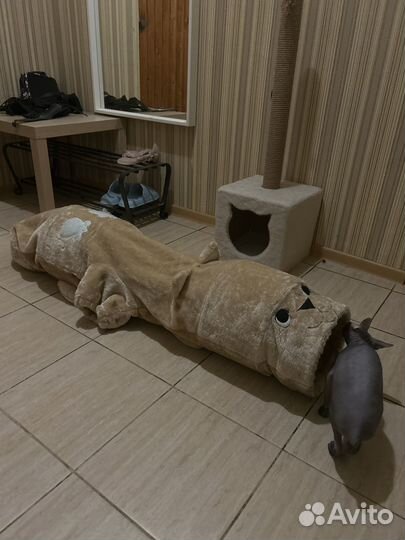 Тоннель для кошек