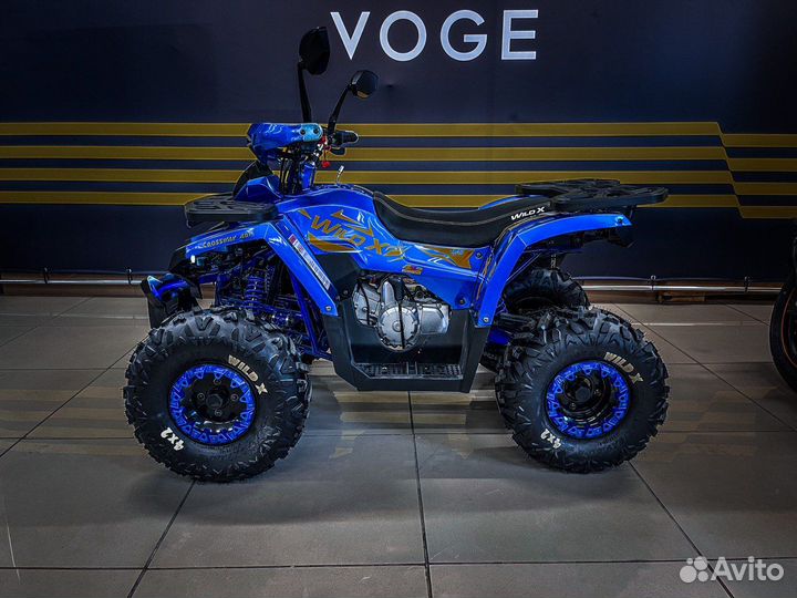 Квадроцикл MotoLand wild X 125