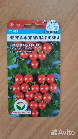 Рассада помидор
