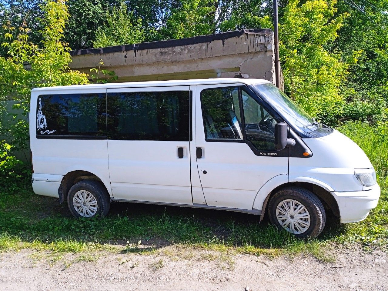 Ford Transit: фото владельца