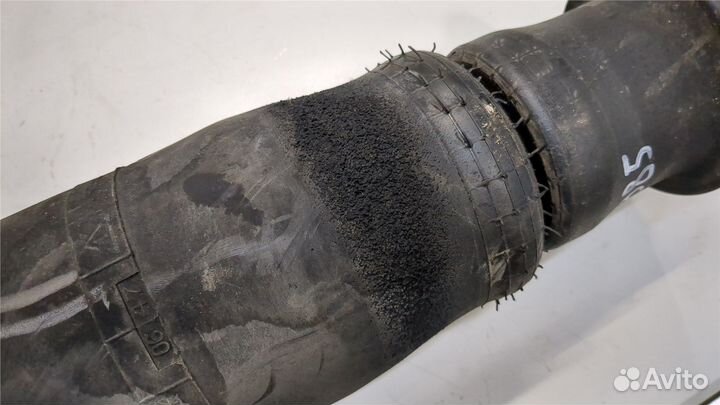 Пневмоподушка Land Rover Range Rover 2, 1996