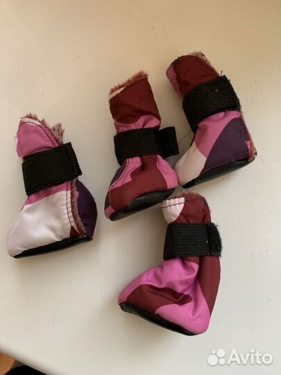 Сапожки для собаки