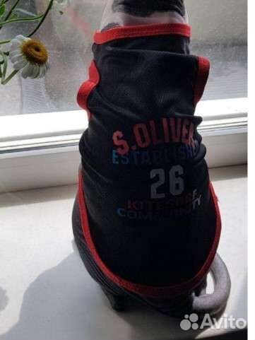 Майка для маленьких собак и кошек xs