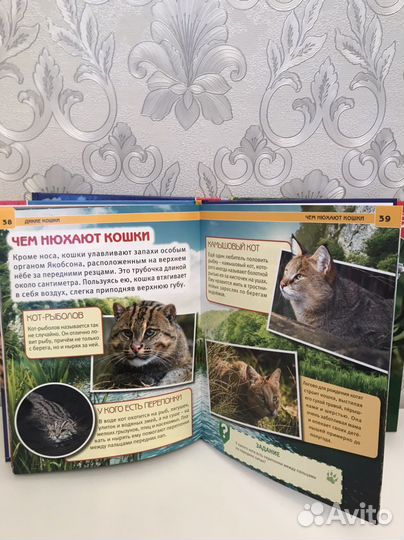 Энциклопедия с развивающими заданиями