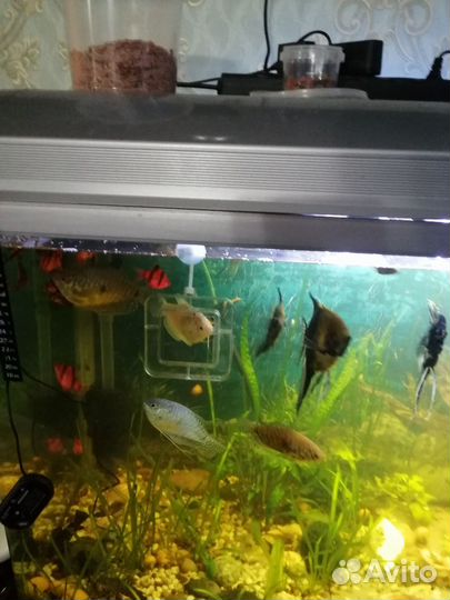 Украшение для аквариума