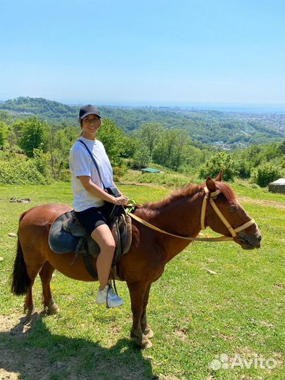 Конные прогулки / Адлер