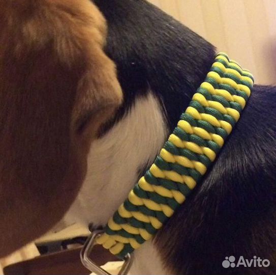 Ошейники для собак