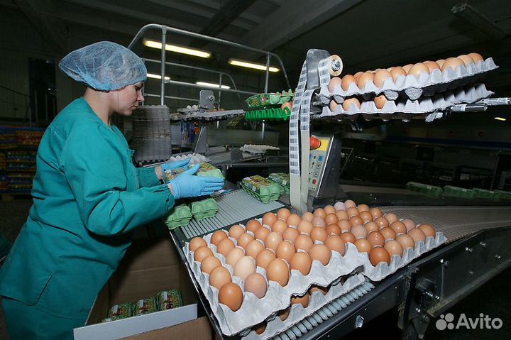 Разнорабочие/упаковщики без опыта вахта