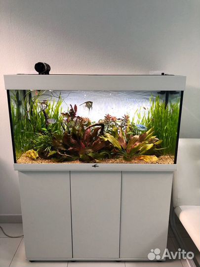 Обслуживание аквариумов