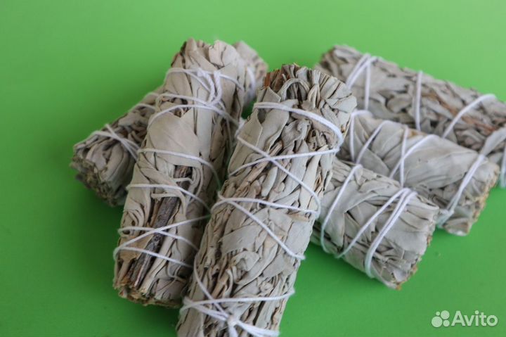 Шалфей Калифорнийский от 20шт опт для Вайлберис