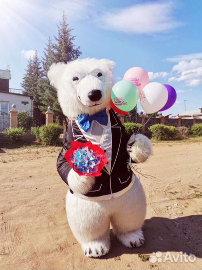 Поздравление медведя