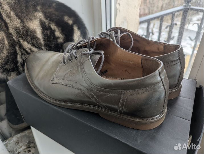 Ботинки мужские paolo conte