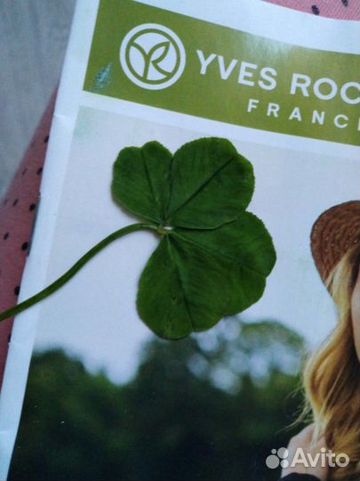 Амулет,клевер четырехлистный,настоящий