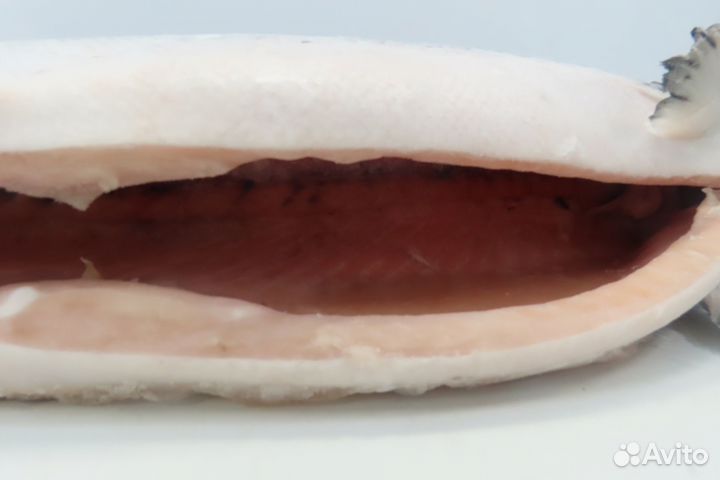 Лосось атлантический(семга) 5-6 кг