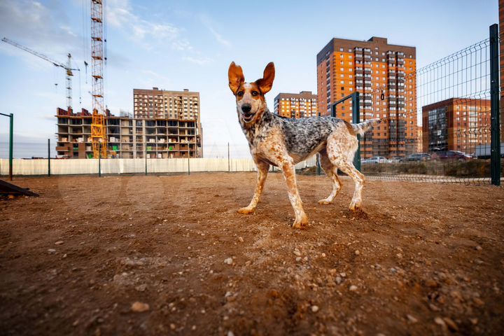 Квартира-студия, 20 м², 8/18 эт.