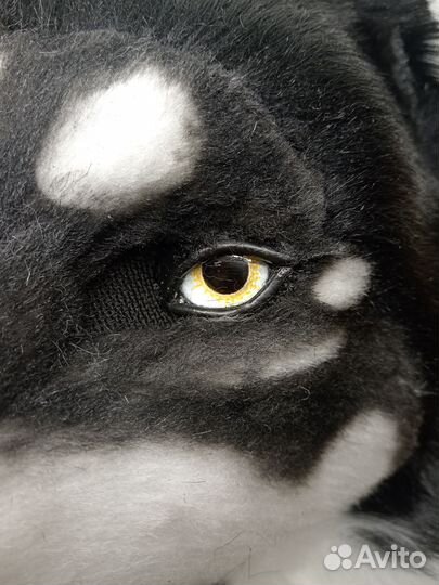 Фурсьют собаки/хаски реалистик