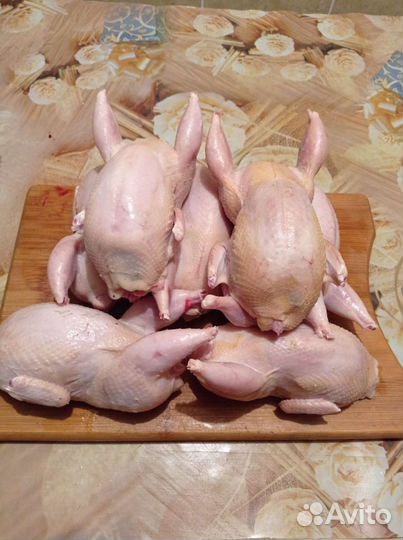 Мясо перепелов