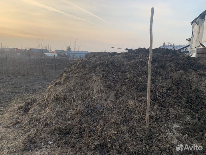 Навоз перегной бесплатно