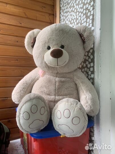 Новый плюшевый медведь 60 см бесплатно