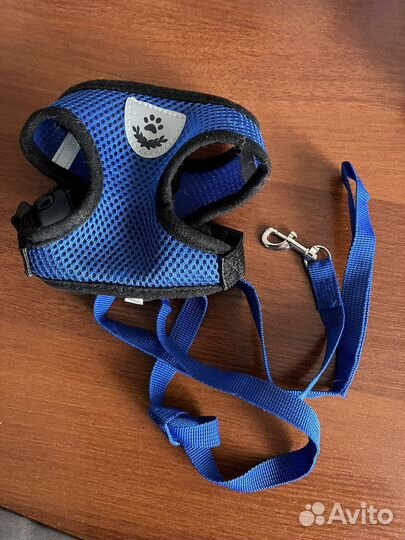 Одежда для собак