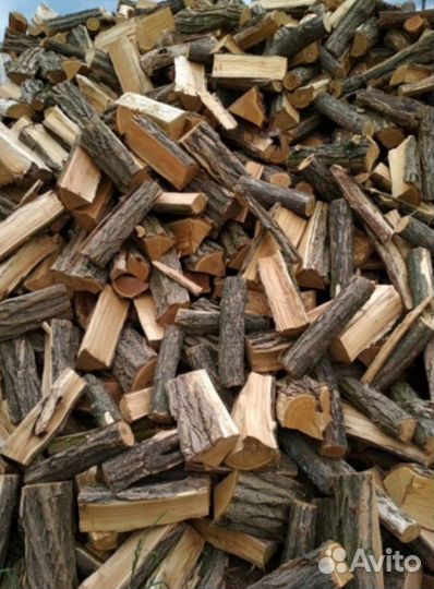 Дрова дубовые