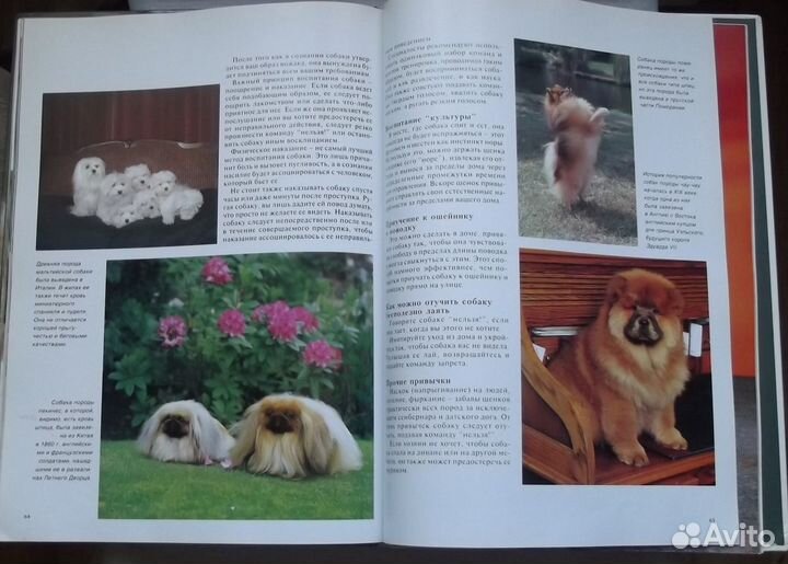 Книшнек М., Кэрэвэн Дж. Собаки. Серия Мир животных