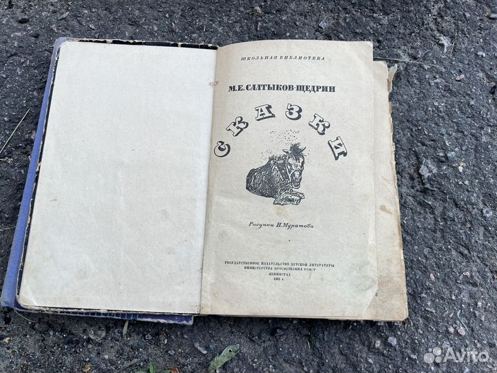 Штурм абсолютного нуля, Салтыков Щедрин