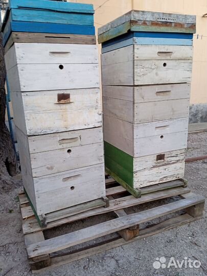 Улей для пчел бу