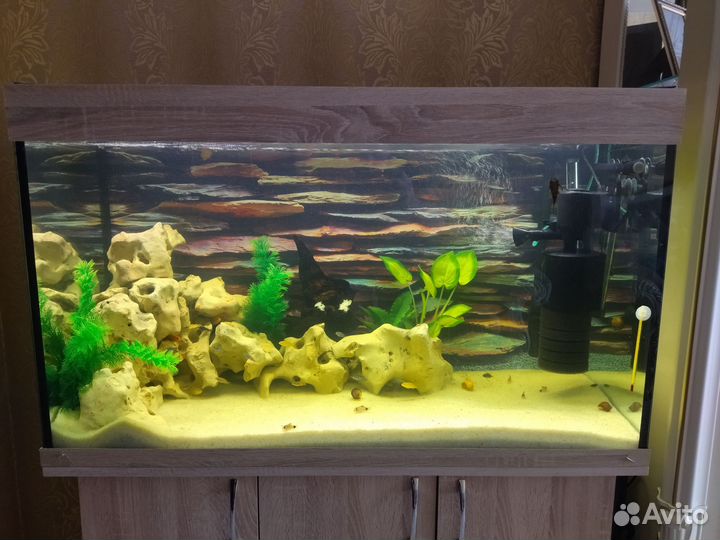 Продам аквариум 250 литров
