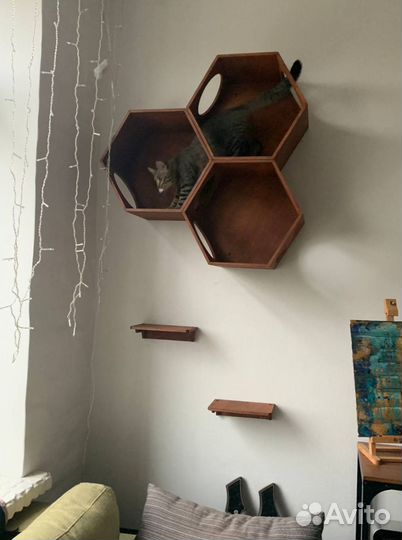 Модульный комплекс для Кошки