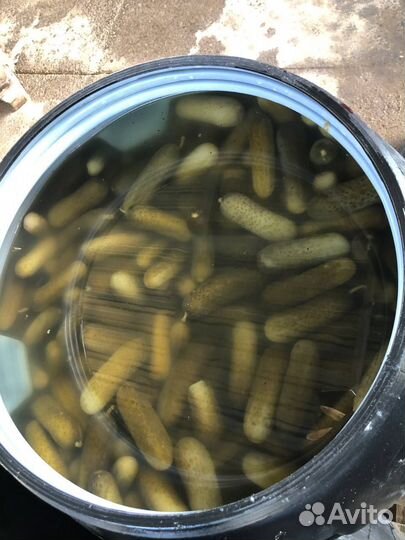 Огурцы соленые, 9-12,12-15