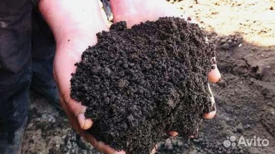 Чернозём Рязанский Земля плодородная ddz4
