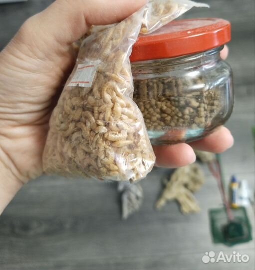 Аквариум и аксессуары
