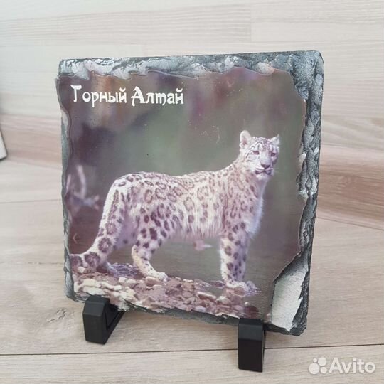 Фото на камне, снежный барс, сувенир