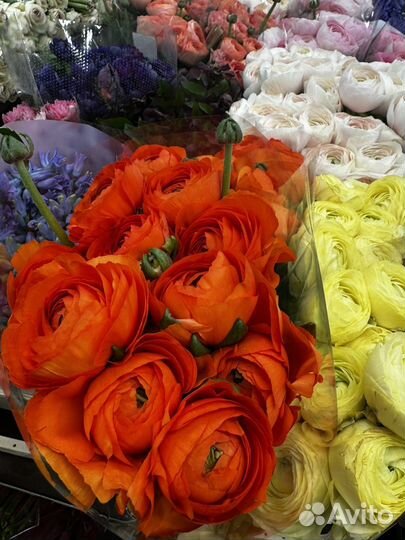 Ранункулюсы букет цветы