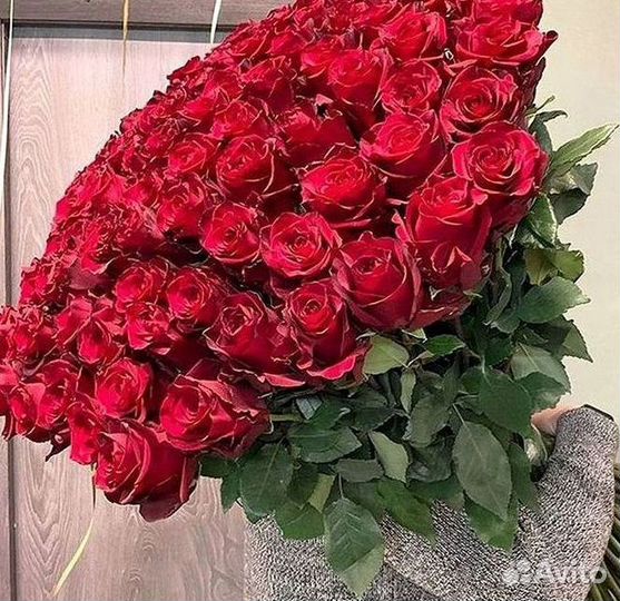 51 Роза, Букеты Цветы Розы 25 101 501 1001