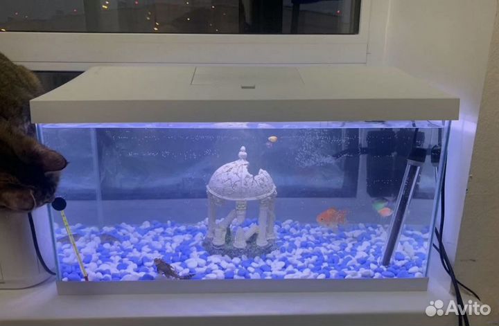 Аквариум
