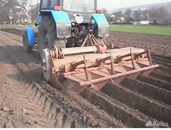 Грядообразователь, 2010