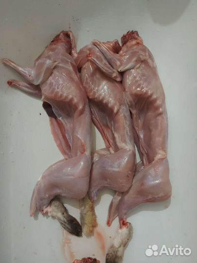 Мясо кролика