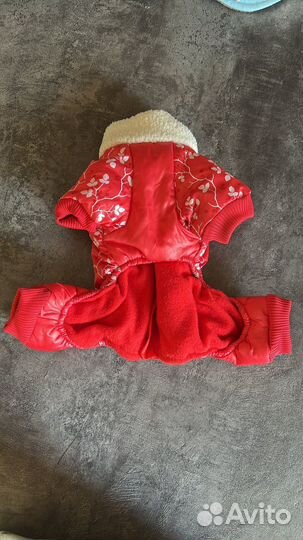 Одежда для маленькой собачки XS - S